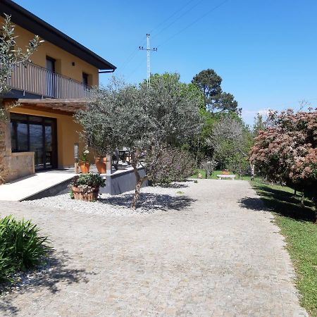 Вилла Quinta Do Senhor Брага Экстерьер фото