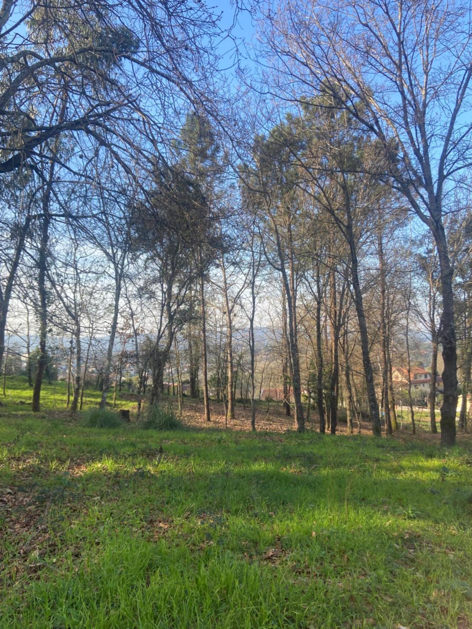 Вилла Quinta Do Senhor Брага Экстерьер фото