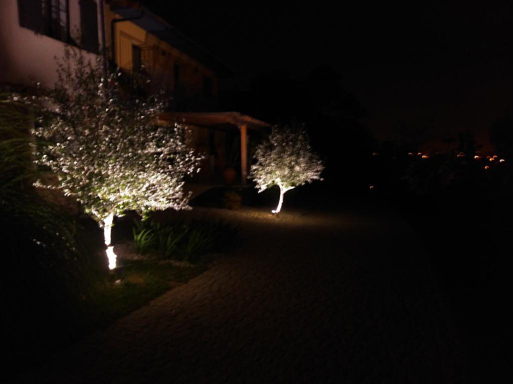 Вилла Quinta Do Senhor Брага Экстерьер фото